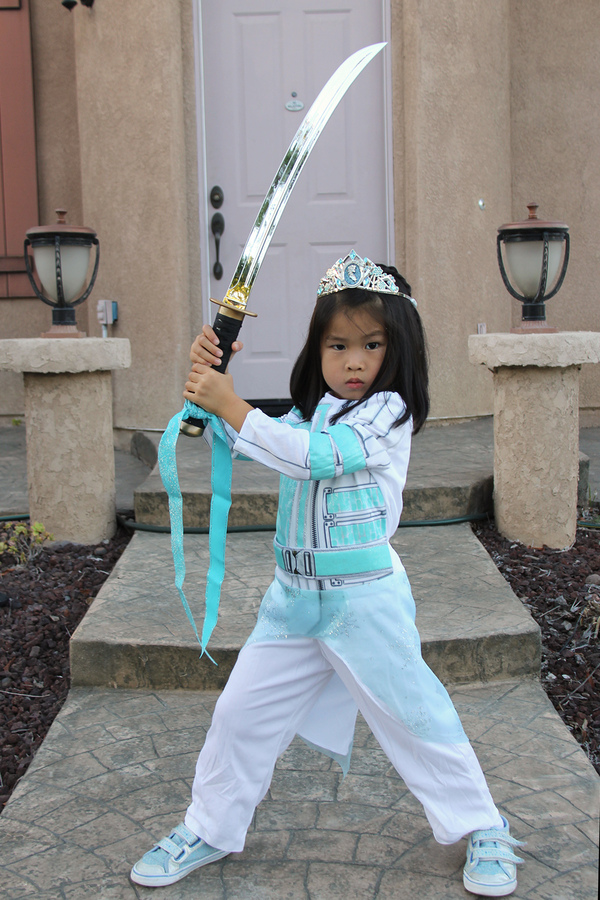 Elsa the Ninja